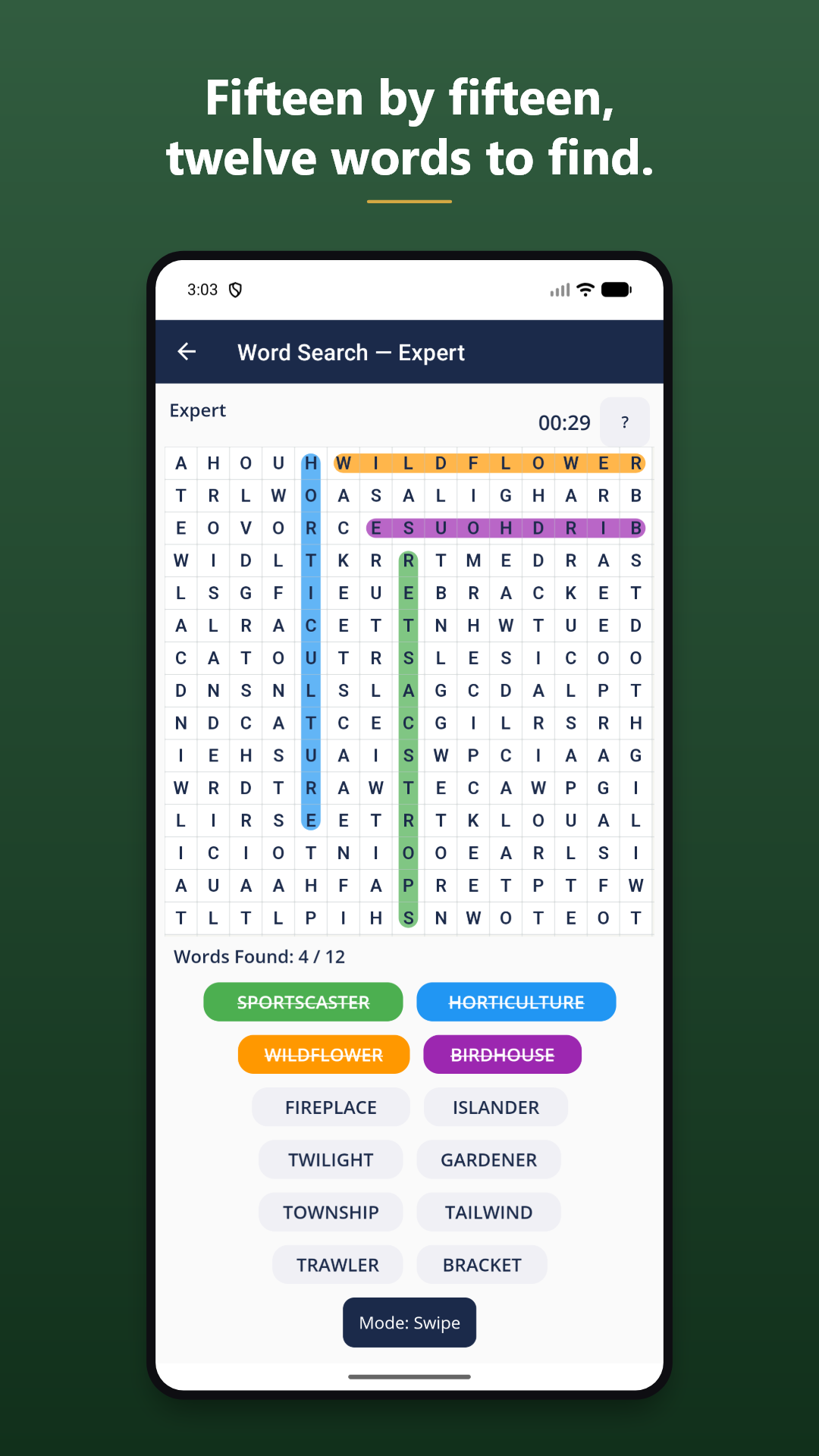 Word Search by Big T screenshot 3